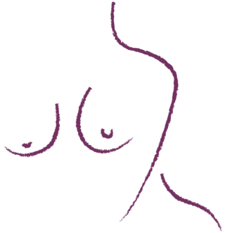 Ilustración de la anatomía mamaria utilizada para explicar la preservación de los tejidos con Preservé.